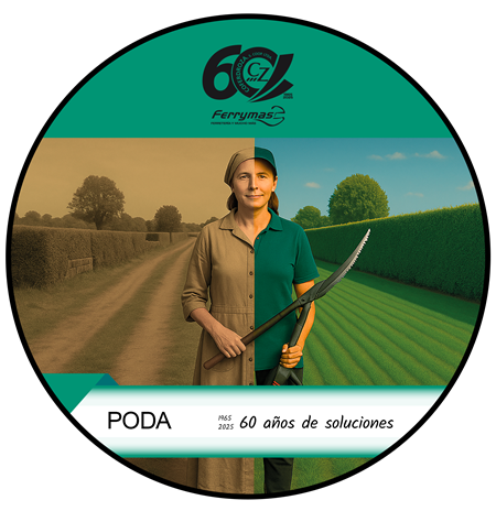 Enlace a oferta